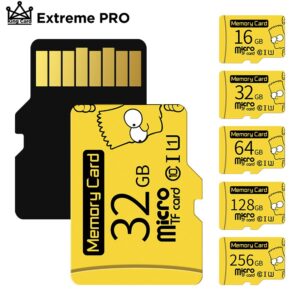Extreme PRO Micro SD 64 GB