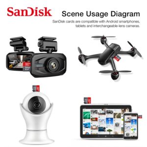 Carte Micro SD SanDisk 128 GB
